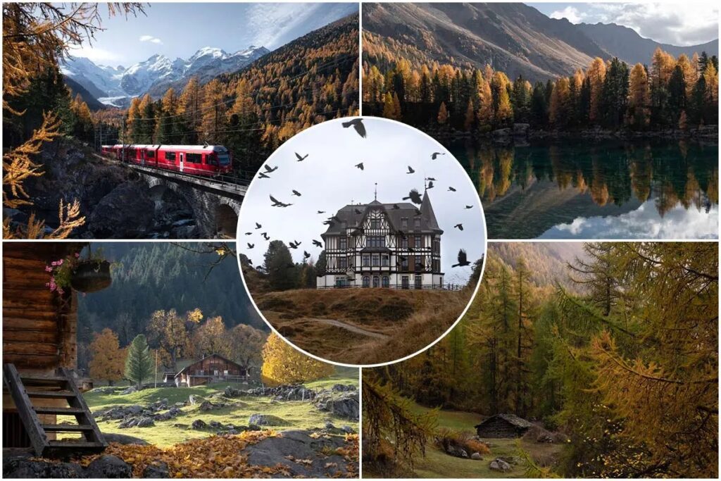 Golden images of nature immersed in Swiss autumn