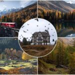 Golden images of nature immersed in Swiss autumn
