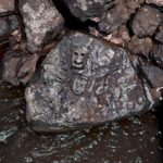 Amazon Drought Reveals Ancient Rock Faces
