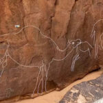 Discovery of mysterious petroglyphs of ancient camels in the Arabian desert