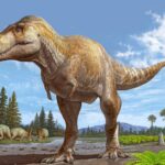How long did dinosaurs live?